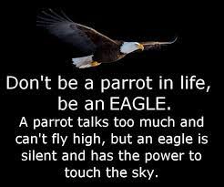 Don T Be A Parrot In Life Be An Eagle A Parrot Talks Too Much And Can T Fly High But An Eagle Is Silent And Has The Abili Parrot Quotes Talking Parrots
