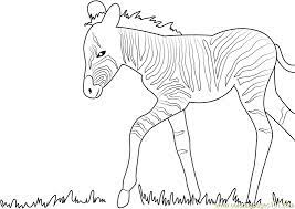 These cute zoo animal coloring pages also double as easy letter practice worksheets for preschool or kindergarteners. Baby Zebra Walking Coloring Page For Kids Free Zebra Printable Coloring Pages Online For Kids Coloringpages101 Com Coloring Pages For Kids