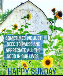 Pin On Quotes