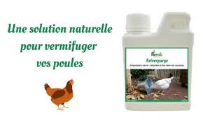 Les Maladies Les Plus Frequentes Chez Les Poules Pondeuses Guide Pour Elever Des Poules Dans Son Jardin Poule Pondeuse Elevage De Poules Elever Des Poules