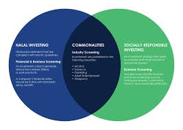 Blog home › bitcoin › is bitcoin halal or haram? The Halal Investing Guide Wahed