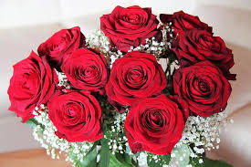 Blume, blütenblatt, strauß, rot, rosa, rote rose, blumen, rosen, floristik, valentinstag, blühende pflanze, gartenrosen, rose. Rosenstrauss Baccarat Rote Rosen Muttertag Geburtstag Valentinstag Ich Liebe Dich Rot Blumen Konigin Der Rosen Baccara Rosen Pikist