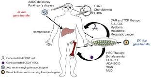 In Vivo Versus Ex Vivo Gene Therapies For The Treatment Of Genetic Download Scientific Diagram