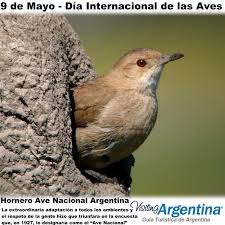 En 2015, año de este decreto nacional, se celebró el aniversario número 30 de la primera publicación de dragon ball en la revista. Birds Of Patagonia Home Facebook