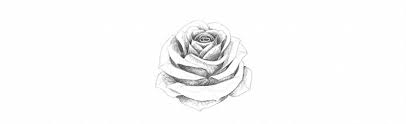 How To Draw A Rose With just a few strokes you will be drawing beautiful roses!