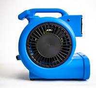 Amazon.com: OmniDry Mini Air Mover y secadora de alfombras ...
