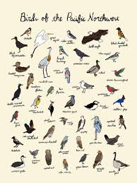 Feeder Bird Identifier By Picture Birds Of The Pacific Northwest Print 9x12 Oregon Washington Etsy Washington Nature Pacific Northwest Art Pacific Northwest