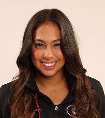 I N S I D E T H E S E R I E S