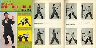 This martial art is believed to have been created by the monks of the shaolin temple in china. Praying Mantis Kung Fu Collection