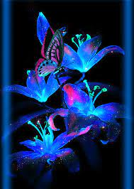Mimi Gif Sweet Spring Glowing Flowers Fairy Wallpaper Beautiful Gif