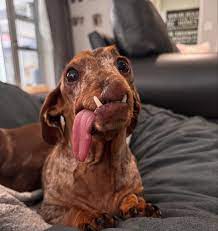 FlintstoneDaxies | Happy Thursday 🌸 | Instagram