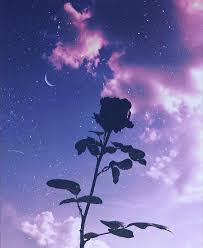 Violet aesthetic lavender aesthetic quote aesthetic aesthetic pictures pastel purple purple rain daphne blake purple walls purple. 11 11 On Twitter Dark Purple Aesthetic Purple Wallpaper Iphone Purple Wallpaper