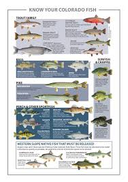 Fishing Colorado Clear Creek County Clear Creek County Colorado Hunting Camping Colorado