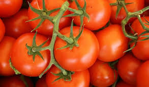 Les Tomates Il Vaut Mieux Les Manger Crues Ou Cuites Passionsante Be