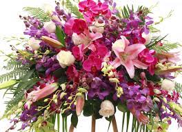 Found 2 colleagues at edmond's plaza florist, inc. Edmond S Plaza Florist San Mateo Flower Delivery High End Original Unique Same Day Delivery Largest Selection Of Floral Designs In The Usa