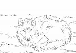 Print any werewolf coloring pages for free. 25 Free Wolf Coloring Pages Printable