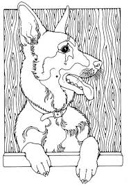 Coloring Page German Shepherd Img 28208 Dog Coloring Book Dog Coloring Page Horse Coloring Pages