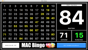 Bingo caller app for laptop. Bingo Calling Software For Mac Sdirectlasopa