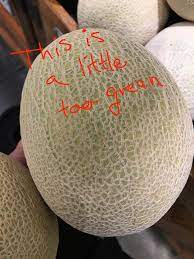 Yes, i had to record a video about myself and my background of related experience. For A Ripe Cantaloupe Pick One Tinted Gold Underneath The Netting Ripe Cantaloupe Fruits And Veggies Best Fruits