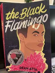 What is the definition of critical race theory in the context of a school  library book?