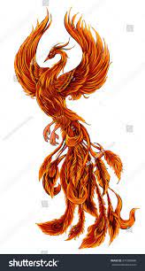 Phoenix Fire Bird Illustration And Character Design Hand Drawn Phoenix Tattoo Japanese And Chinese St Phoenix Bird Tattoos Phoenix Tattoo Design Phoenix Tattoo