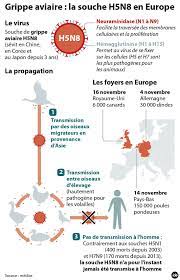 Bilan de l'épidémie en france, quels symptômes ? En Bref La Grippe Aviaire H5n8 Est En Europe