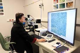 Jobs in the it, computer industry in myanmar. Female Scientist Powers Turkey S National Helicopter Engine Daily Sabah