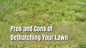 Dethatch your lawn when these two things are true: Pros And Cons Of Dethatching Your Lawn The Backyard Pros