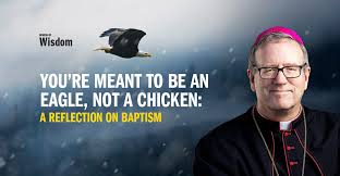 You're Meant to Be an Eagle, Not a Chicken: A Reflection