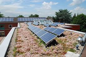 Sun Root 30 Green Roof Solutions By Optigreen Dachbegrunung Fassadenbegrunung Dach
