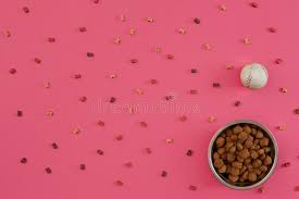 Download Dog Food In Metallic Bowl And Accessories On White Background Stock Photo Image Of Dish Domestic 104489934 PSD Mockup Templates
