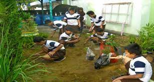 Menciptakan Kebersihan Lingkungan Sekolah Tercinta Sd Negeri 2 Baleharjo