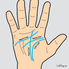 The Lines In Your Palm Can Unveil Secrets About Your Life I Read Mine And It Was Spot On Palmistry Palm Reading Lines Hand Health