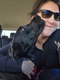 Update 3: Buddy has a his forever home. So thankful to everyone who helped  me!!!!! Merry Christmas!!!!! 🎁 🎄 ❤️❤️❤️ Update 2: he def will NOT have to  be euthanized!! Someone has