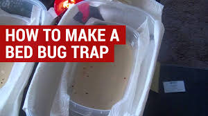 bed bug trap using sugar