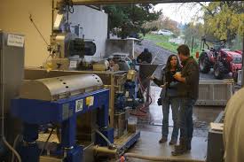 Oregon Olive Mill Savor Sip And Sojourn