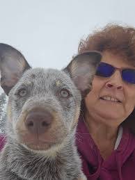 Erin Bearden's Instagram, Twitter & Facebook