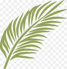 We did not find results for: Palm Sunday Png Images Pngwing