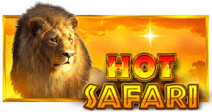 Hot Safari