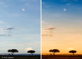 We did not find results for: Time Laps Sunrise To Sundown Google Search Sunset Photos Sunrise Sunset Sunrise