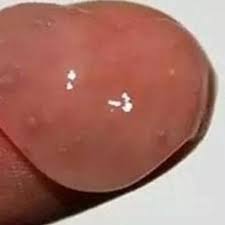 oneiric theater kit video iz*onebestelle dir jetzt das iz*one online konzert oneiric theater kit video set bequem nach hause. Download Unboxing Izone Oneiric Theater Merchandise Mp4 Mp3 3gp Naijagreenmovies Fzmovies Netnaija