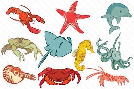 It is a very unique creature of the sea because it is the only one that can change color or just glitter. Set With 10 Beautiful Sea Creatures Svg Plotterdatei Von Creative Fabrica Crafts Creative Fabrica