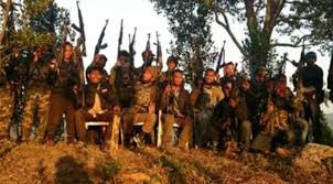 Hnlc Offers Olive Branch Proposes Peace Talks Inside Ne