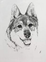 Sharing some really awesome pieces by other artists is totally fine too. Memorial Drawing Of My Friend S Dog Brother Micron Pens Drawing