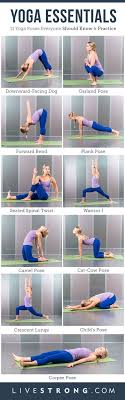 Yoga For Beginners Everything You Need To Know To Get Started Livestrong Com Essential Yoga Poses Easy Yoga Workouts Yoga Poses For Beginners