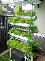 20 Incredible Ideas For Diy Hydroponic Garden Hydroponic Gardening Aquaponics Diy Hydroponics