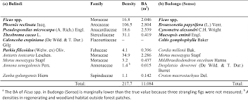Image result for Caloncoba crepiniana