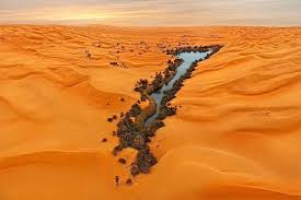Eman54786906 Twitter