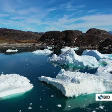 @Dulce_Baptista's video Tweet