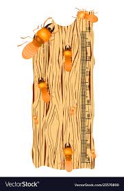Kids Height Chart With Termite On Soft Wood